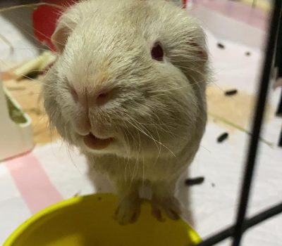 WhatsApp Image 2025-11-18 at 13.48.20 (1)