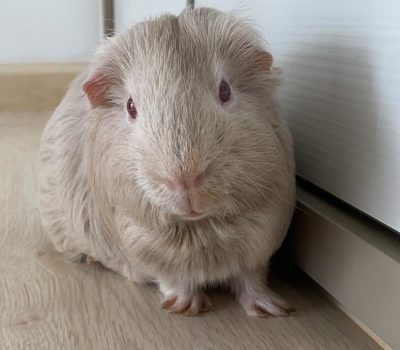 WhatsApp Image 2025-11-18 at 13.48.20